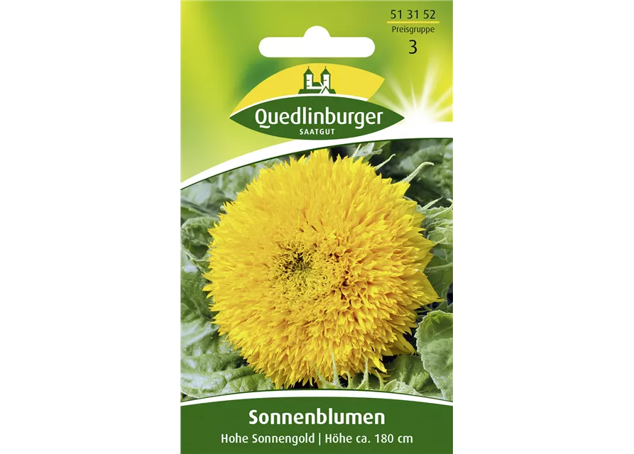 Sonnenblumensamen 'Hohe Sonnengold'