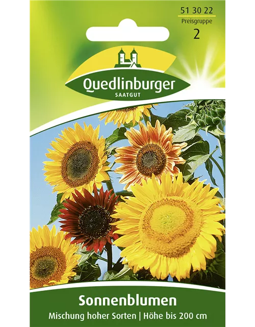 Sonnenblumensamen 'Mischung hoher Sorten'