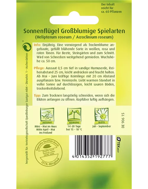 Sonnenflügelsamen 'Großblumige Spielarten'