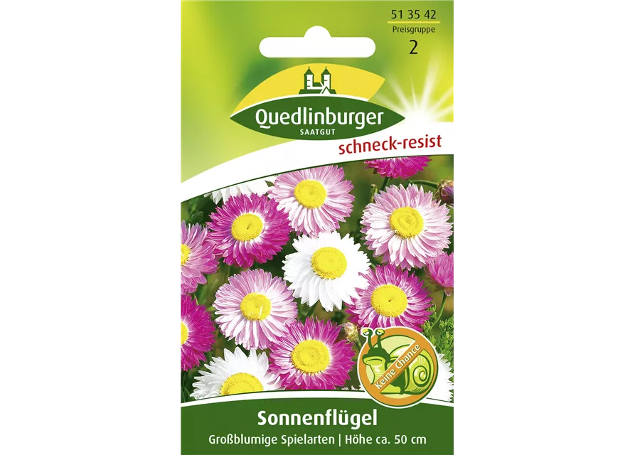 Sonnenflügelsamen 'Großblumige Spielarten'