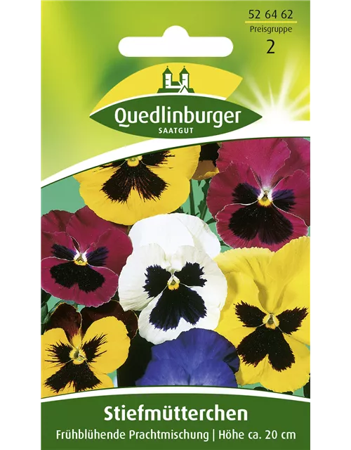 Stiefmütterchensamen 'Frühblühende Prachtmischung'