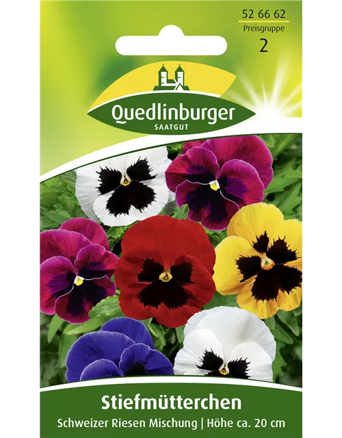 Stiefmütterchensamen 'Schweizer Riesen'