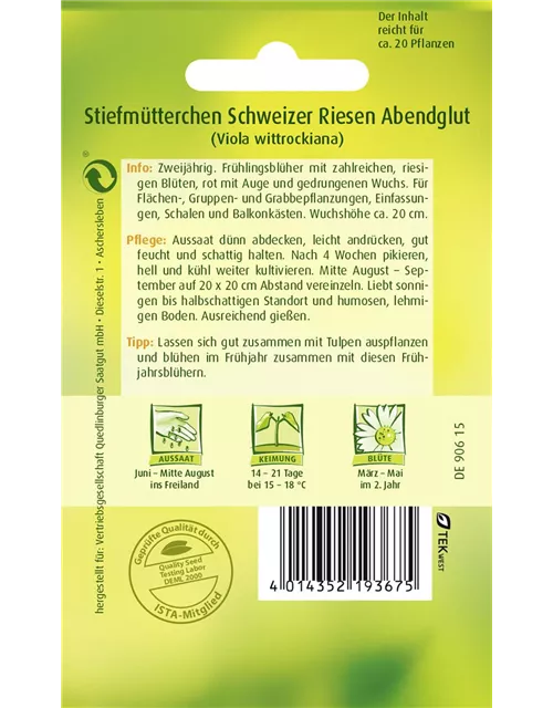 Stiefmütterchensamen 'Schweizer Riesen Abendglut'