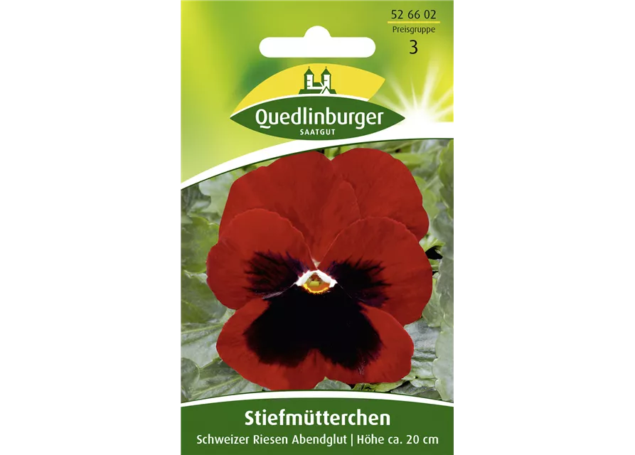 Stiefmütterchensamen 'Schweizer Riesen Abendglut'