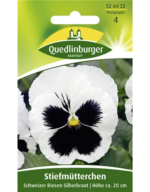 Stiefmütterchensamen 'Schweizer Riesen Silberbraut'
