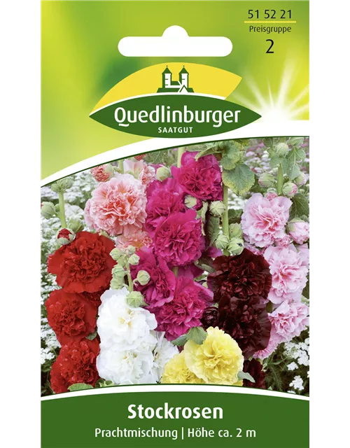 Stockrosensamen 'Prachtmischung'