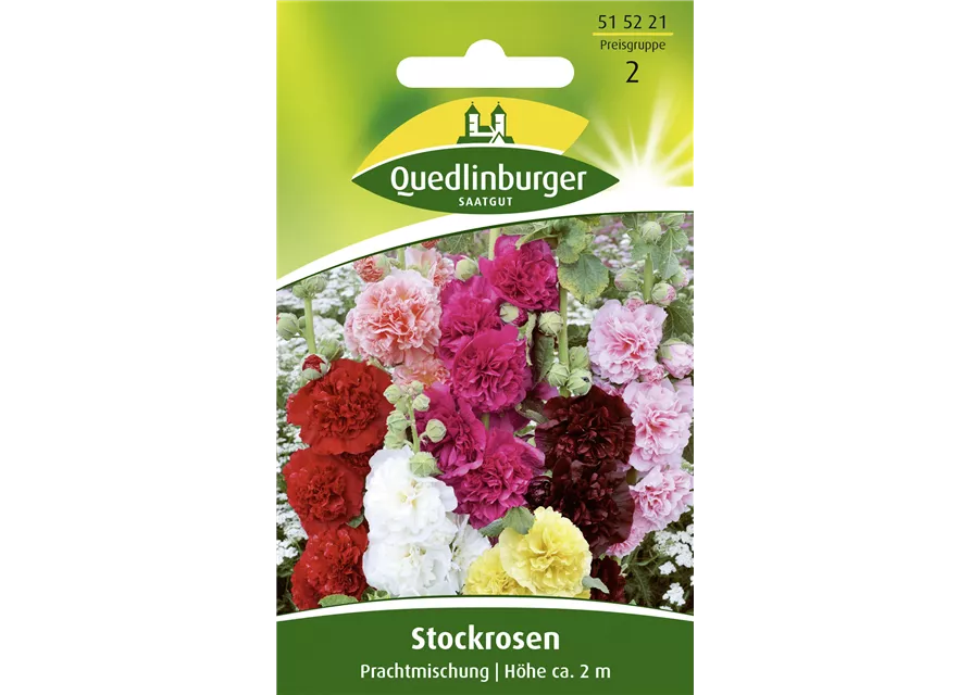 Stockrosensamen 'Prachtmischung'
