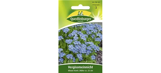 Wald-Vergissmeinnicht-Samen 'Blauer Korb'