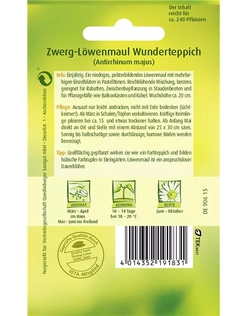 Löwenmaulsamen 'Wunderteppich'
