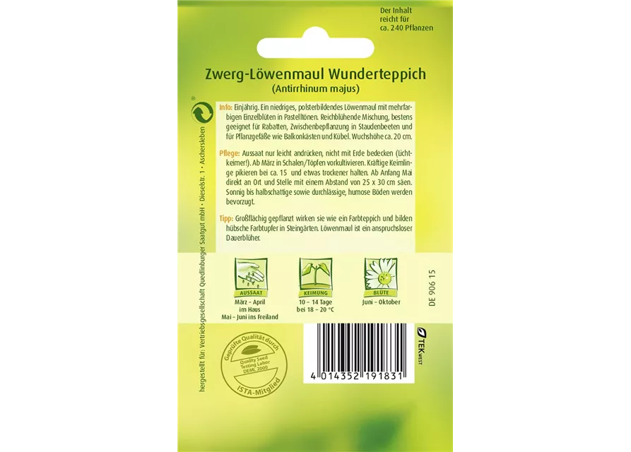 Löwenmaulsamen 'Wunderteppich'