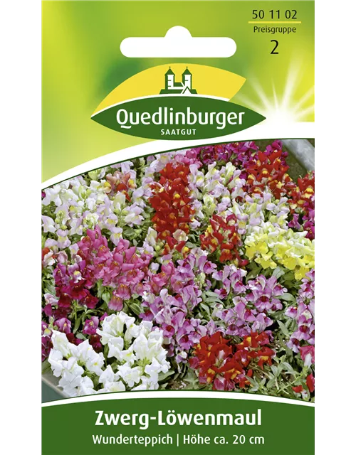 Löwenmaulsamen 'Wunderteppich'
