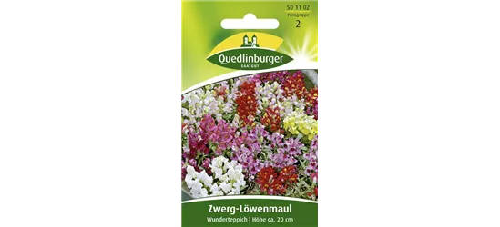 Löwenmaulsamen 'Wunderteppich'