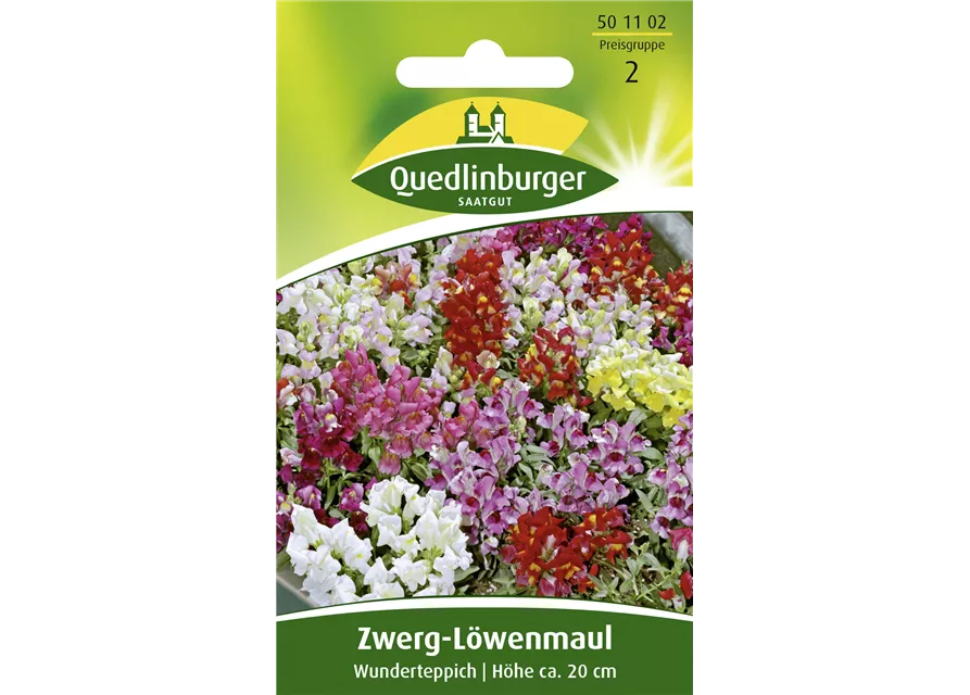 Löwenmaulsamen 'Wunderteppich'
