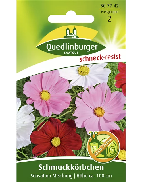 Schmuckkörbchensamen