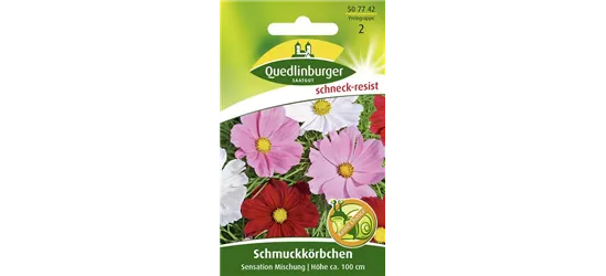 Schmuckkörbchensamen