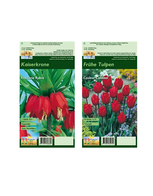 Blumenzwiebel Set 'Red Romance'