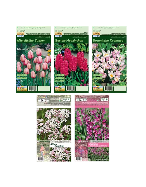 Blumenzwiebel Set 'Rosarotes Meer'