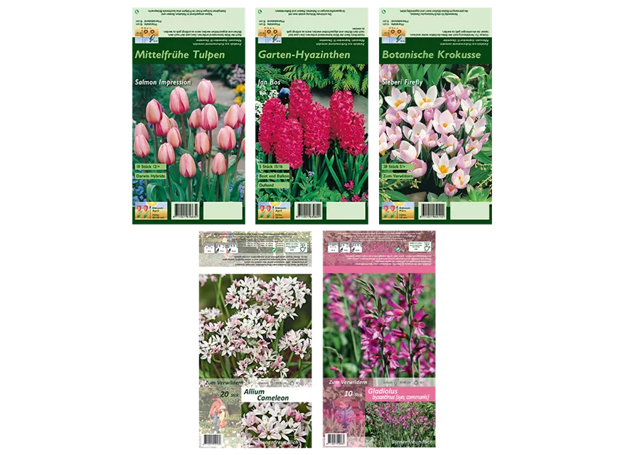 Blumenzwiebel Set 'Rosarotes Meer'