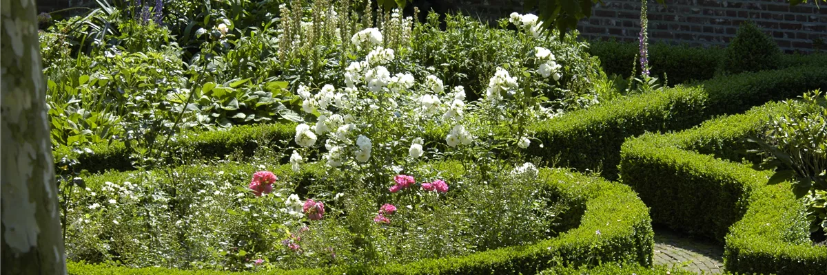Einen Bauerngarten anlegen – Mehr als nur ein spießiger Nutzgarten