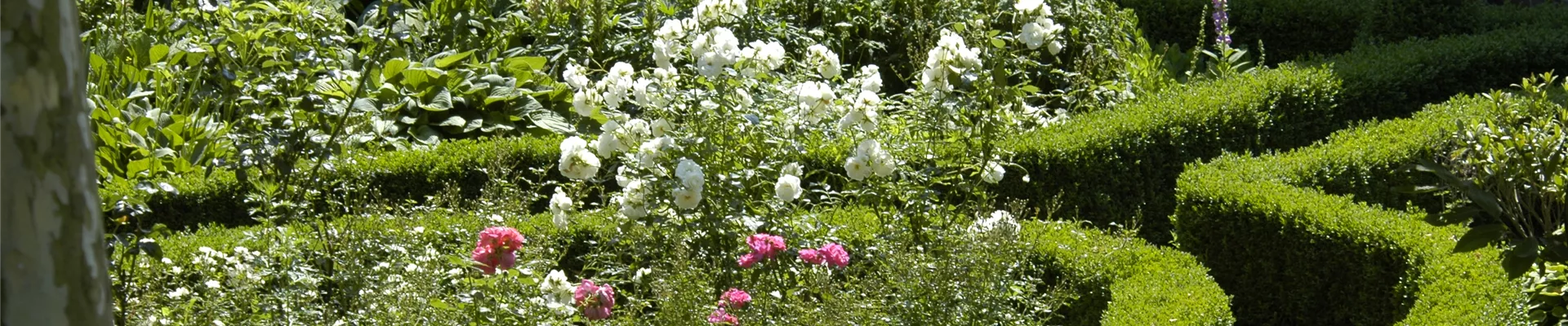 Einen Bauerngarten anlegen – Mehr als nur ein spießiger Nutzgarten