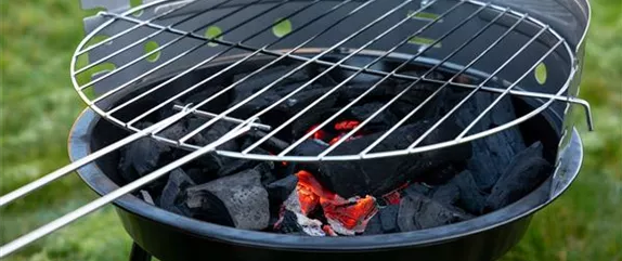 Wie trifft man beim Kauf eines neuen Grills die richtige Wahl?