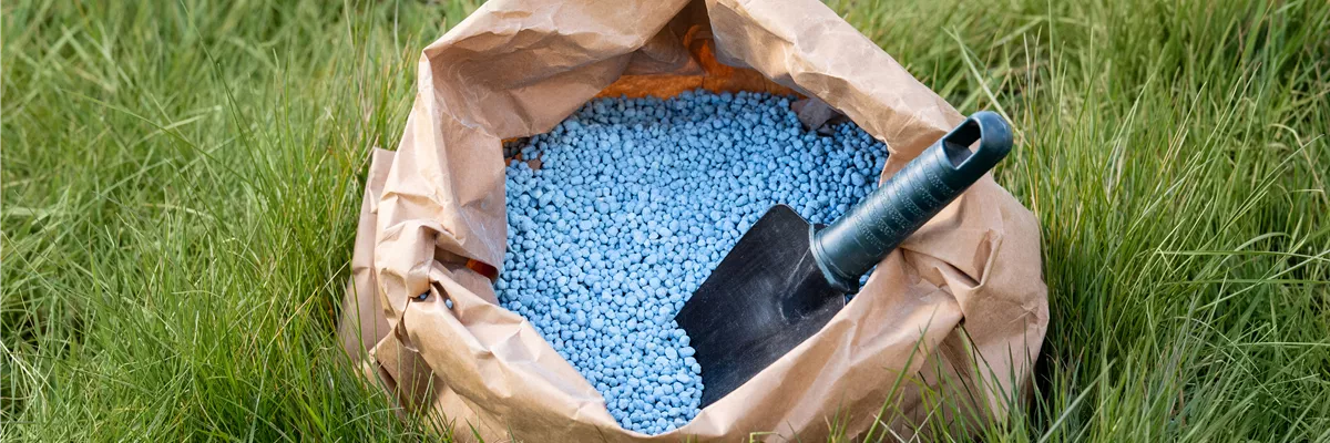 Düngen im Herbst - Kraftvoll in die kalte Jahreszeit