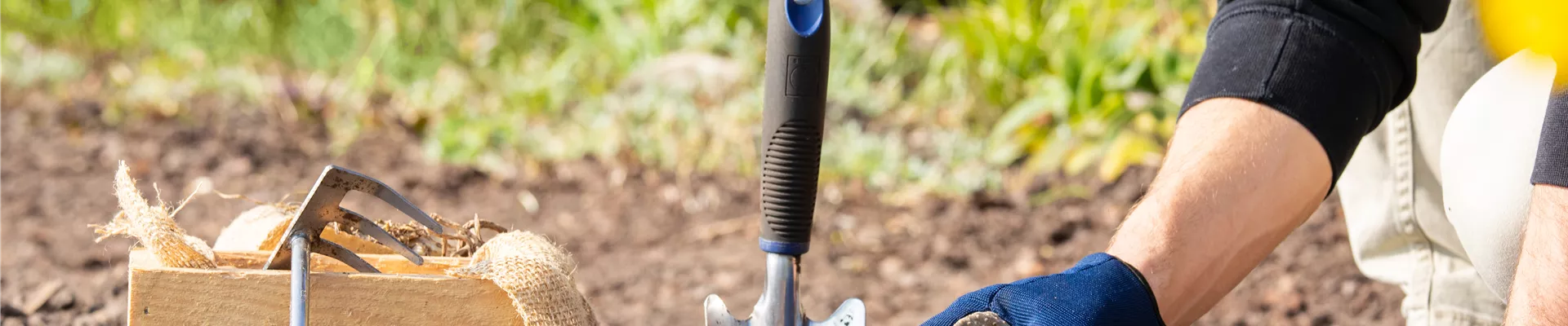 Blumenzwiebeln einpflanzen