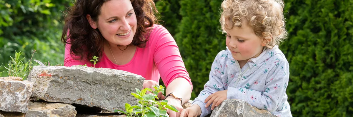 Ungiftige Pflanzen können auch von Kindern angebaut werden