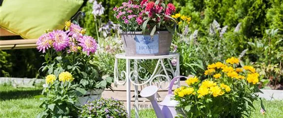 Wohnen im Grünen – so schafft man eine Gartenoase