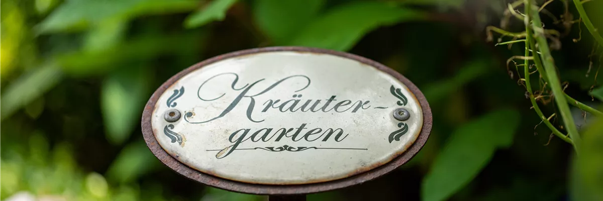 Ernte ohne Garten - Im duftenden Kräutergarten auf dem Balkon