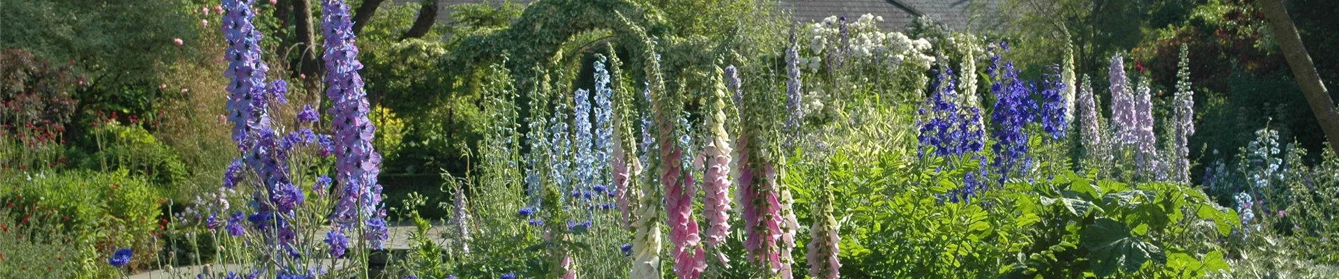 Jetzt ist es wieder soweit: Die Gartengestaltung mit Stauden