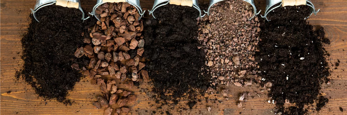 Die passende Erde für die Lieblingspflanzen in Haus und Garten