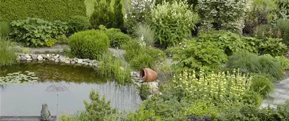 Gezielt die passenden Wasserpflanzen für den Teich aussuchen