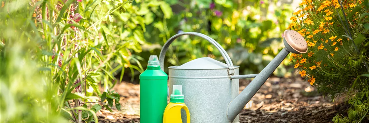 Pflanzen düngen für reiche Ernte und Blütenpracht