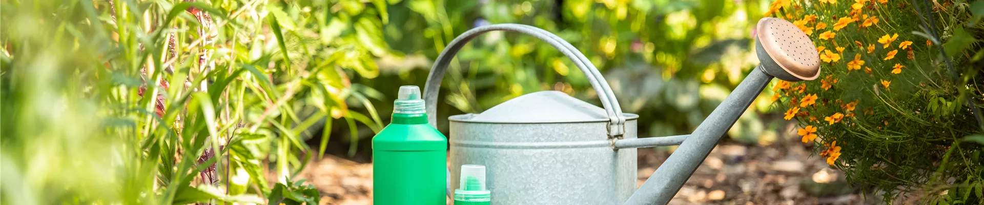 Pflanzen düngen für reiche Ernte und Blütenpracht