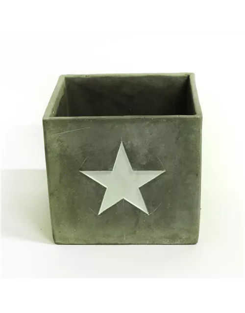 Pflanzwürfel Sternmotiv