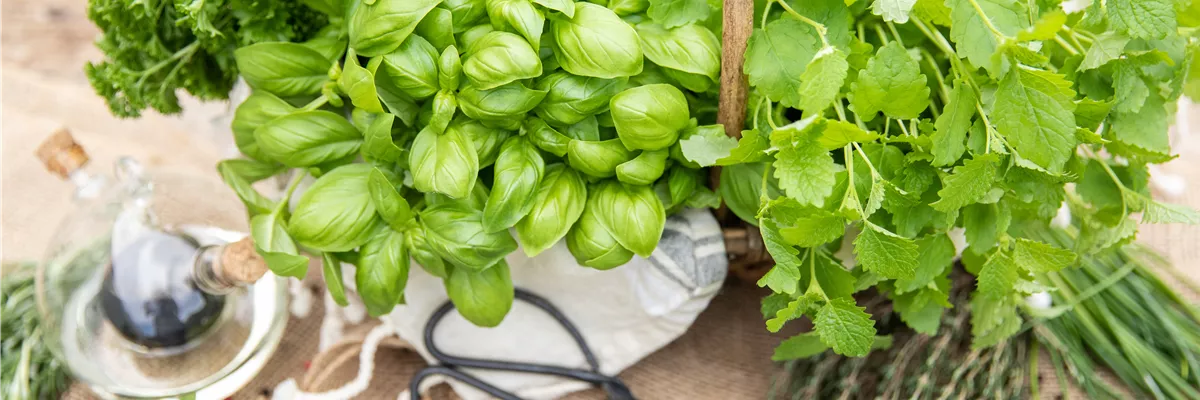 Korb mit diversen Kräutern