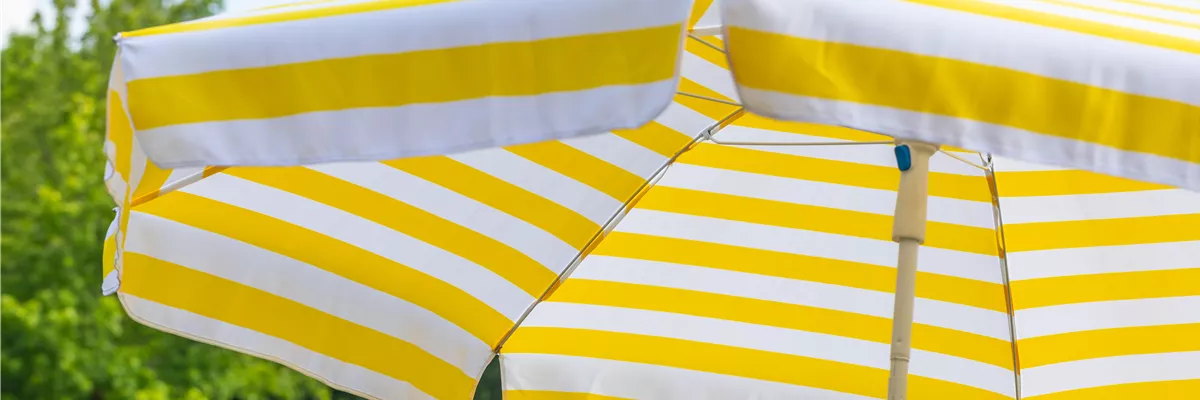 Sonnenschirm im Garten