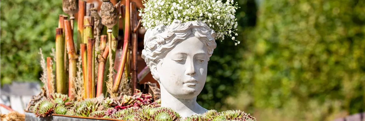 Herbstdeko - Bepflanzte Skulptur mit Schleierkraut und Sukkulenten