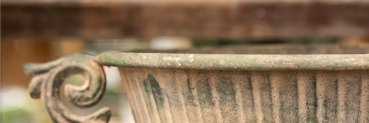 Deko - Pflanzgefäß