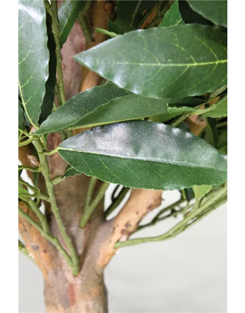 fleur ami LORBEERKUGEL DELUXE Kunstpflanze