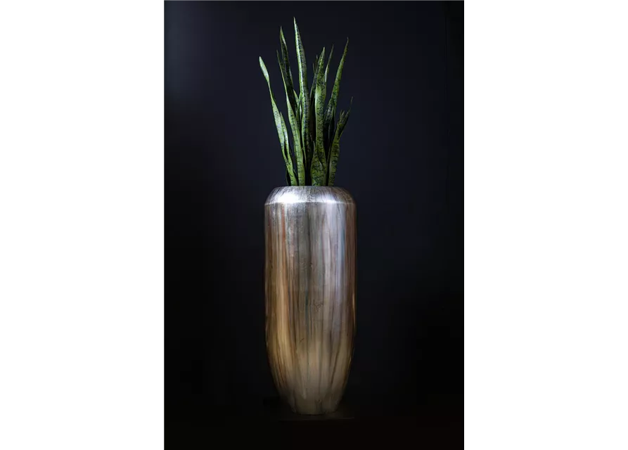 fleur ami CIGAR Pflanzgefäß Ø42/100cm