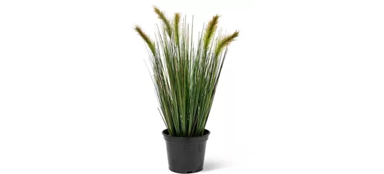 fleur ami FOXTAIL GRAS Kunstpflanze