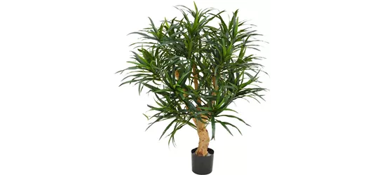 fleur ami DRACAENA REFLEXA Kunstpflanze