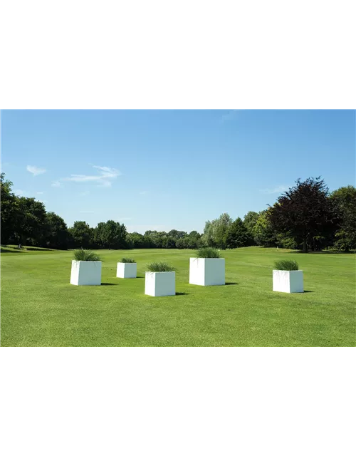 fleur ami PREMIUM CUBUS Pflanzgefäß