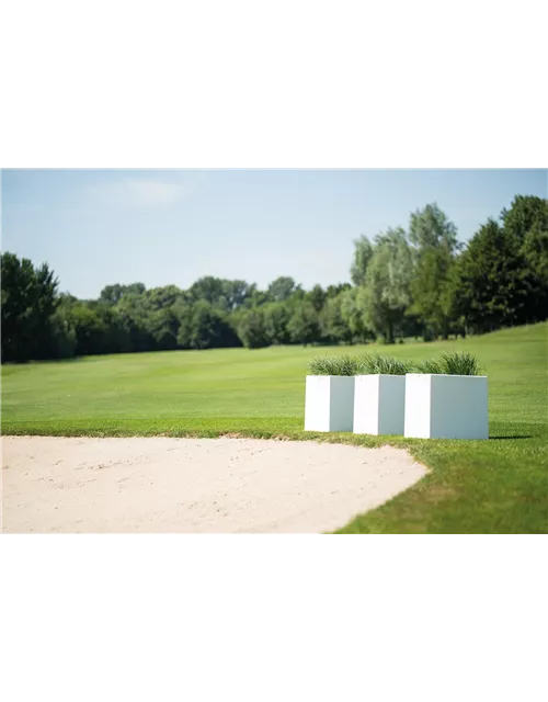 fleur ami PREMIUM CUBUS Pflanzgefäß