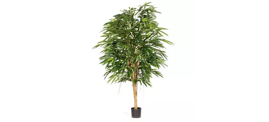 fleur ami LONGIFOLIA ROYAL Kunstpflanze