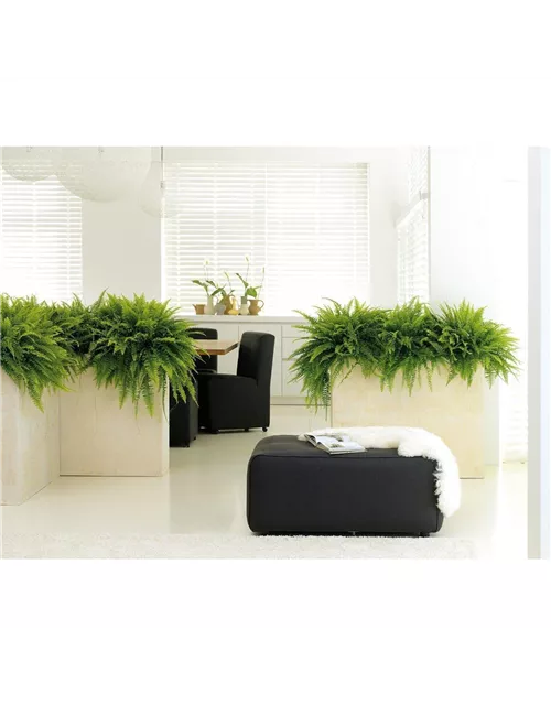 fleur ami POLYSTONE DIVIDE Raumteiler