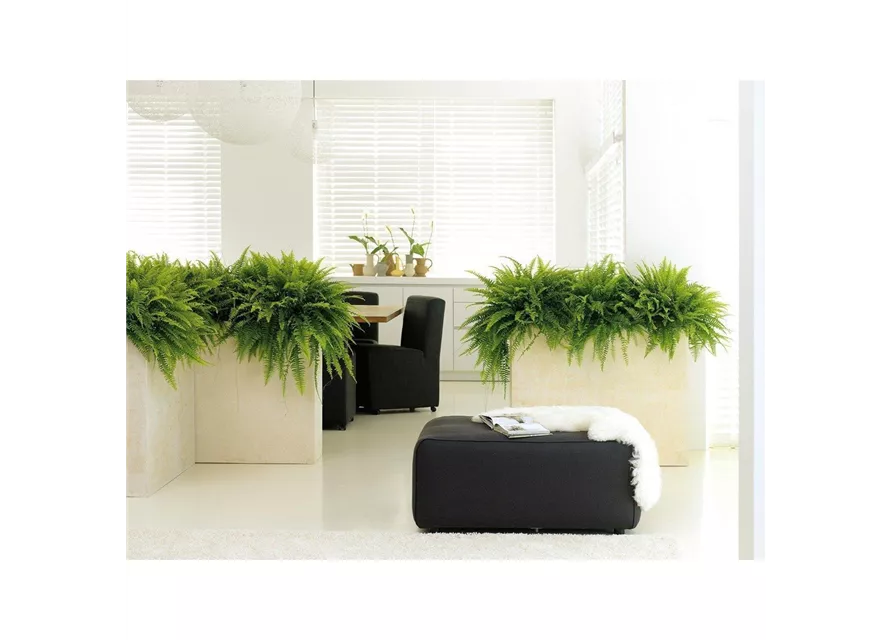 fleur ami POLYSTONE DIVIDE Raumteiler