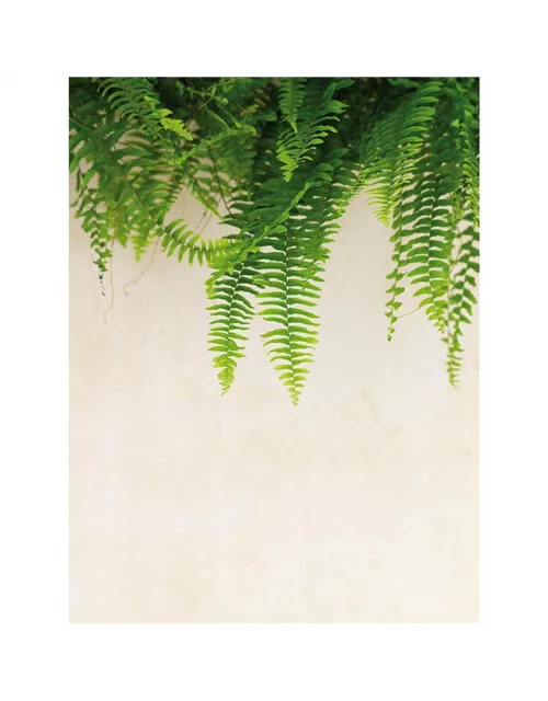 fleur ami POLYSTONE DIVIDE Raumteiler